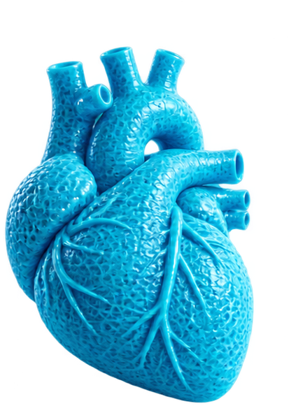 Glossy fluorescent-blue anatomical heart